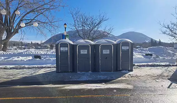 sanibert-2025-3 sanibert-2025-3